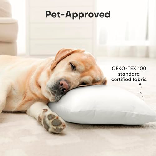 2-Pack Toddler Pillow - Soft Organic Cotton Toddler Pillows for Sleeping - 14X20 Jumbo Pillow for Kids - Kids Pillows for Sleeping - Kids Pillow for Travel, School, Nap, Age 2 to 5 (Soft White) - Image 8